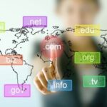 Spreadsheet showing domain portfolio with pricing, niches, and ROI tracking